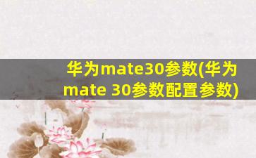 华为mate30参数(华为mate 30参数配置参数)